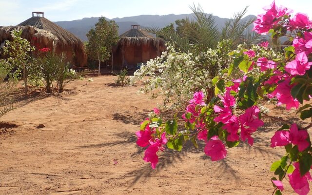 Bedouin Star