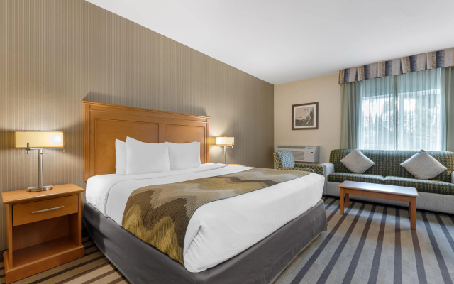 Best Western King George Inn & Suites