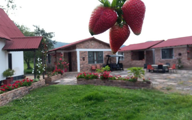 Cabañas Santa Teresa