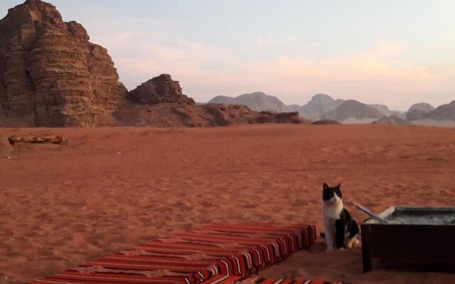 Wadi Rum Mobile Desert Camp