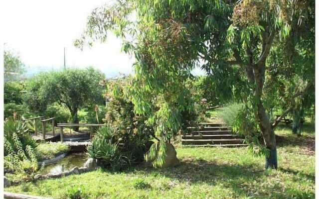 Codavolpe Giardino di Tea