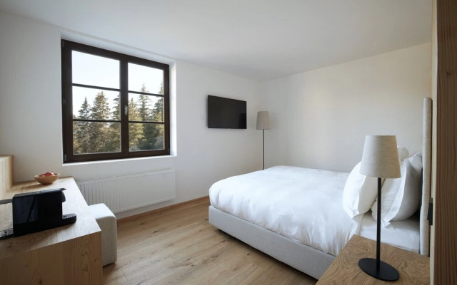 Forestis Dolomites Hotel