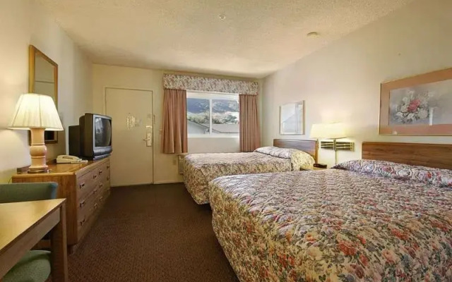Olive Tree Inn & Suites