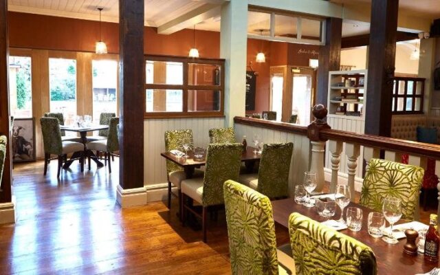 The Golden Pheasant