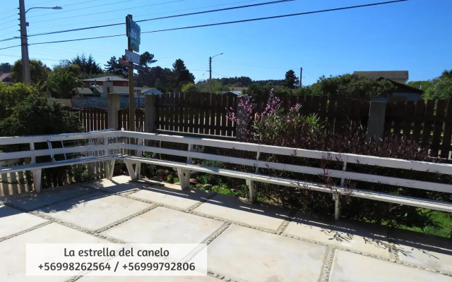 La Estrella Del Canelo