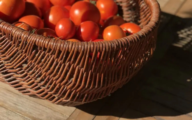 Au coq des bois