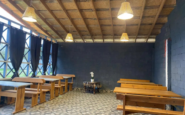 Мускат (Пицунда)