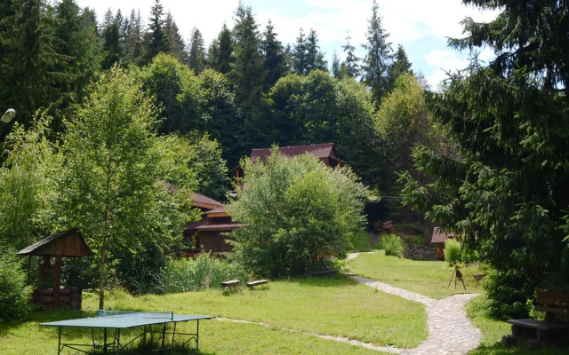 Zarinok