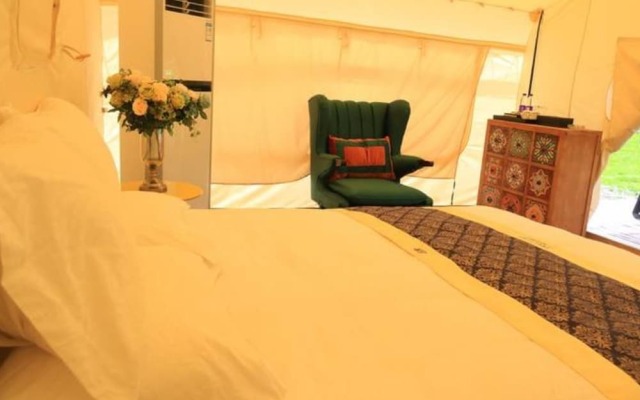 XFY Caravan