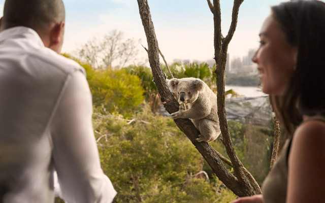 Wildlife Retreat at Taronga