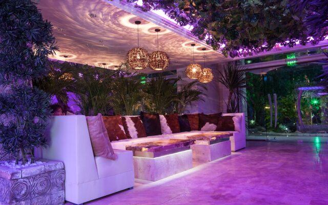 Harmony Suites 2&3