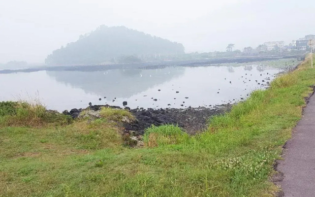 Sun flower Guesthouse