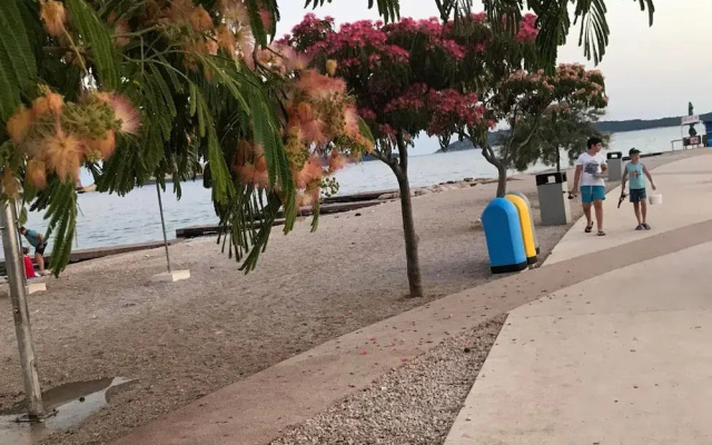 Apartment Belu