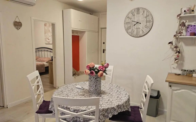 Apartment Toni