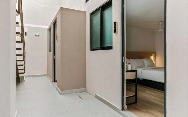 Pájaros by Homirent