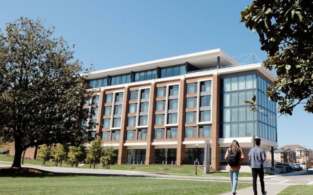 The Highlander at Radford, Tapestry Collection by Hilton