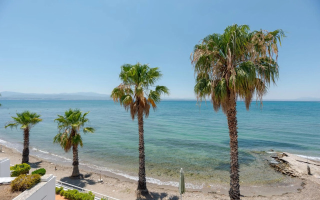 Beachfront Modern Apartment