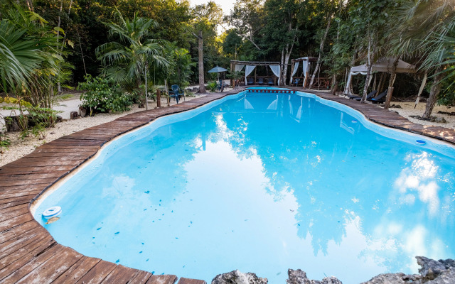 Jolie Jungle Eco Hotel