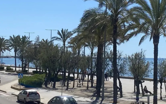R151 - Apart Beachfront