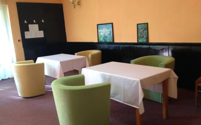Hotel Bor
