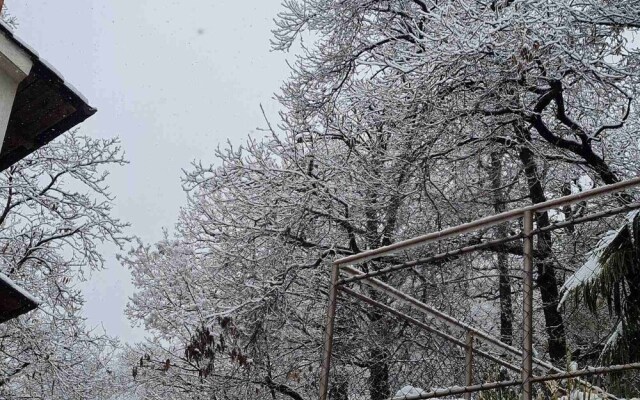 Peacefull Place With Great Seaview