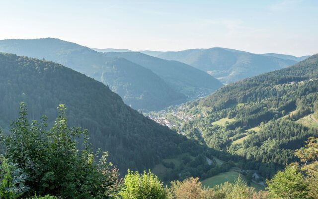 Serene Apartment in Todtnauberg with terrace