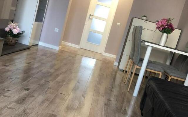 Sighisoara apartment