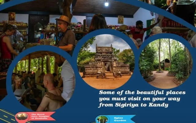 The Rock View Homestay Sigiriya