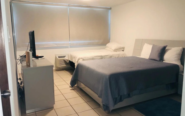 Suburb Pethouse Apartment