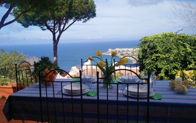 Villa Andrea