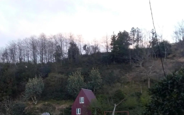 Afsaros