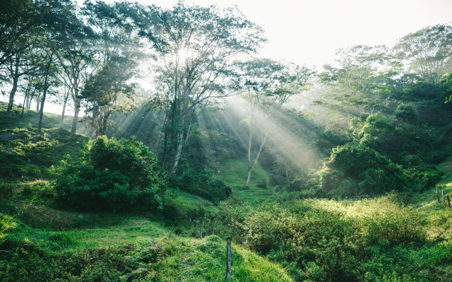 Amaya Hills Kandy Hotel