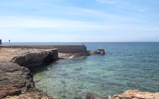 S Estanyol (LAR155)