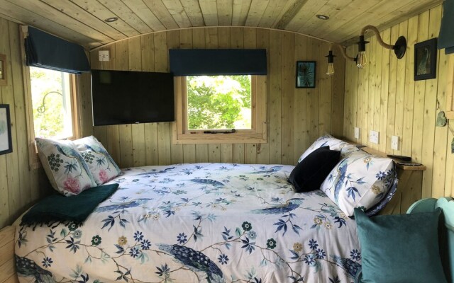 The Peacock Shepherds Hut at Hafoty Boeth