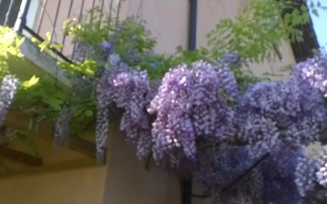 Bed & Breakfast Arpatè