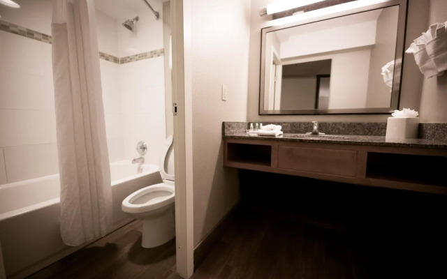 Holiday Inn Raleigh Downtown - Capital by IHG