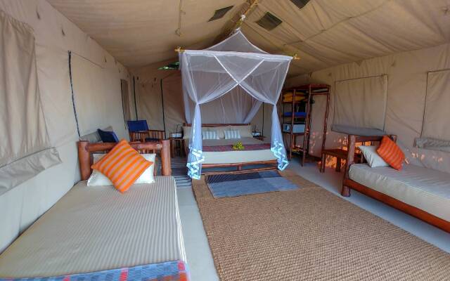 Back of Beyond Dune Camp - Yala