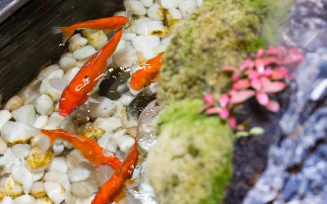 Rezen Dong Hotel (Changchun International Convention and Exhibition Center)