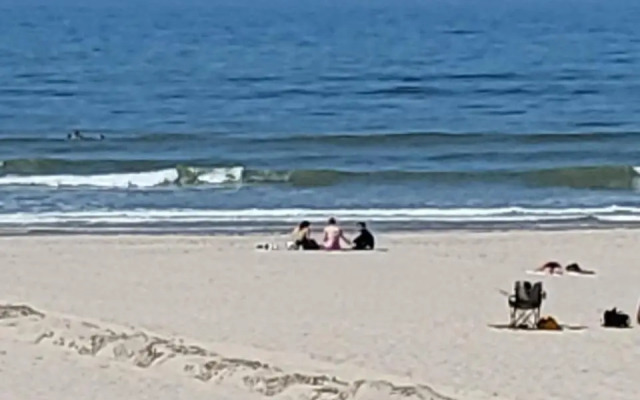 Chambre d'Hotes Les Hortensias