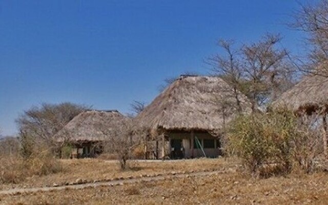 Whistling Thorn Tented Camp