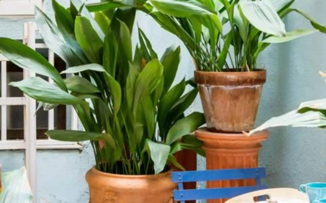 Explore a Walkable Neighborhood around a Comfy Apartment