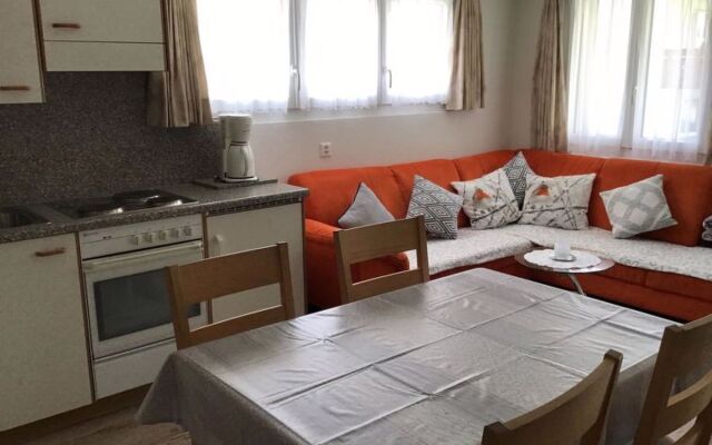 Apartment Adler Saas-Fee 20561