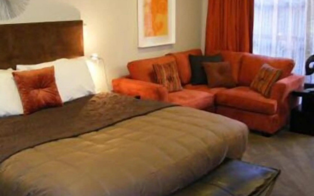 Terra Vive Luxury Suites & Apartments – Guest Rooms – Christchurch