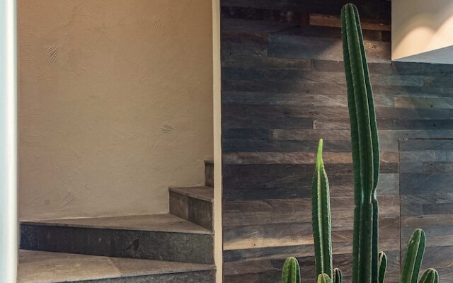 Black Villas Canggu Beach by OXO