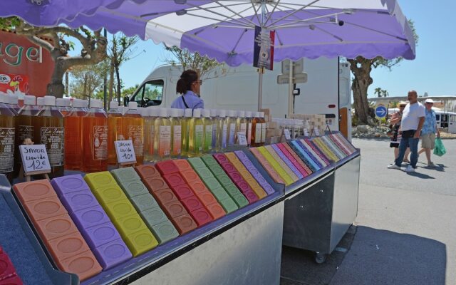 Luxurious Villa With Swimming Pool in Rieux-minervois France