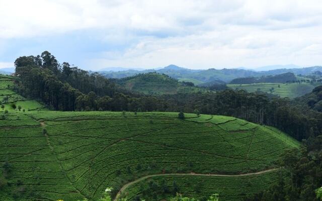 Nyungwe Eco Village