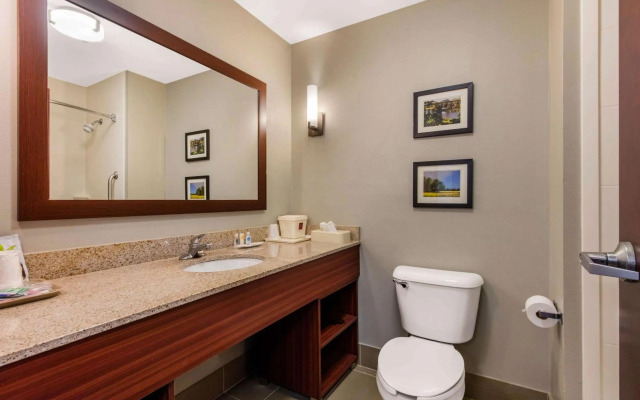 Comfort Suites Tuscaloosa near University