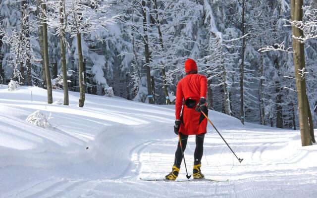 Nice apartment with wellness offer in Freyung