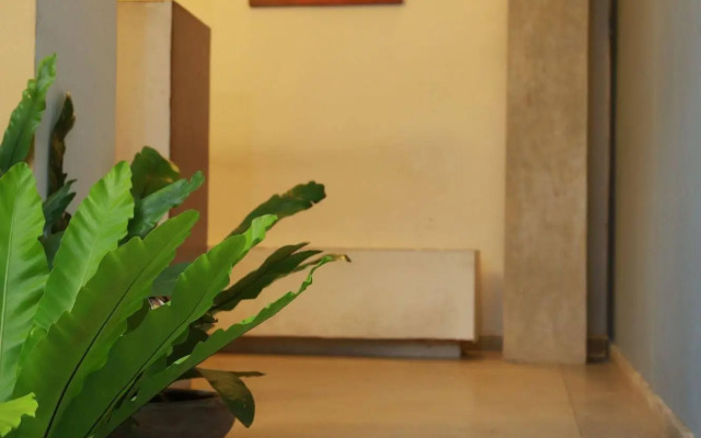 The Canes Boutique Hotel