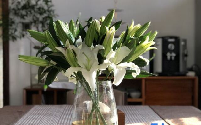 Shenzhen Jiaochangwei Yishe Boutique Hotel